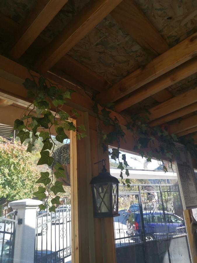Къща Томови,Стаи За Гости Devín Zewnętrze zdjęcie